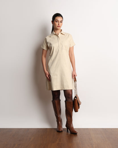 Hetul Pinstriped Dress