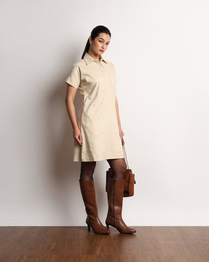 Hetul Pinstriped Dress