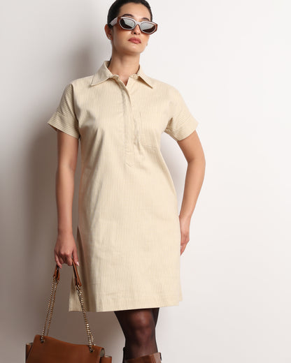 Hetul Pinstriped Dress